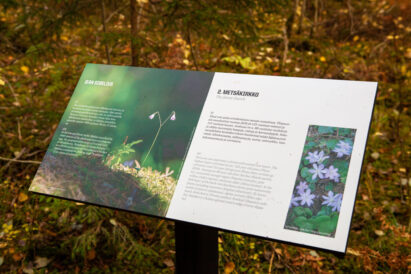 Sibeliuksen Metsässä kulkevalla luontopolulla on kahdeksan opastaulua, jotka kertovat alueen luonnosta ja historiasta.