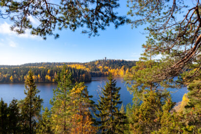 Sibeliuksen Metsää reunustaa Aulangonjärvi. Vastarannalla siintää Aulangon maamerkki, graniittinen näkötorni.