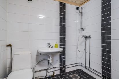 Aulangon Suuren Huvilan rantasaunan kylpyhuone.