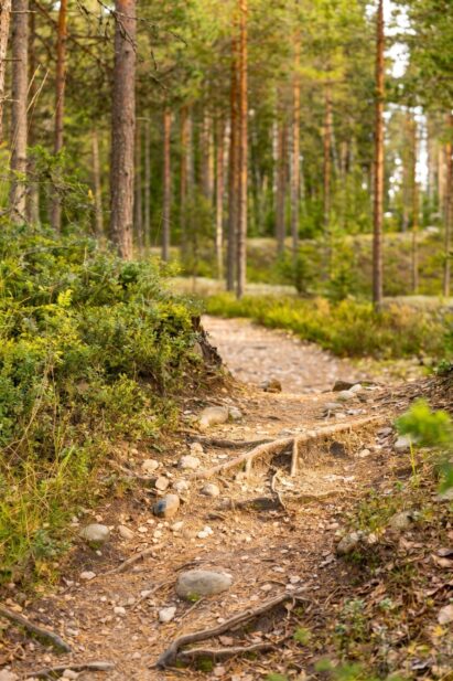 Lopen Erähuvillasta johtaa helppokulkuinen metsäpolku läheisen Syvälahden rannan uima- ja venelaiturille.