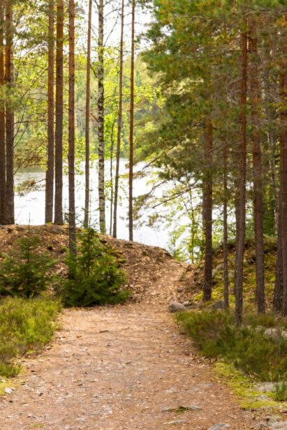 Lopen Erähuvillasta johtaa helppokulkuinen metsäpolku läheisen Syvälahden rannan uima- ja venelaiturille.